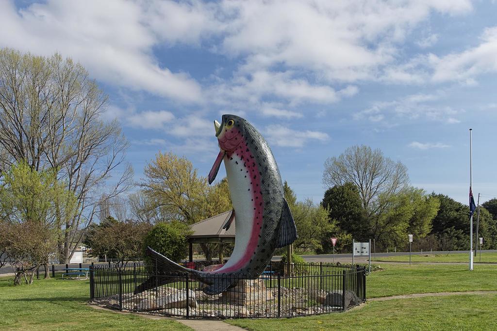 Rainbow Pines Tourist Caravan Park Adaminaby Dış mekan fotoğraf