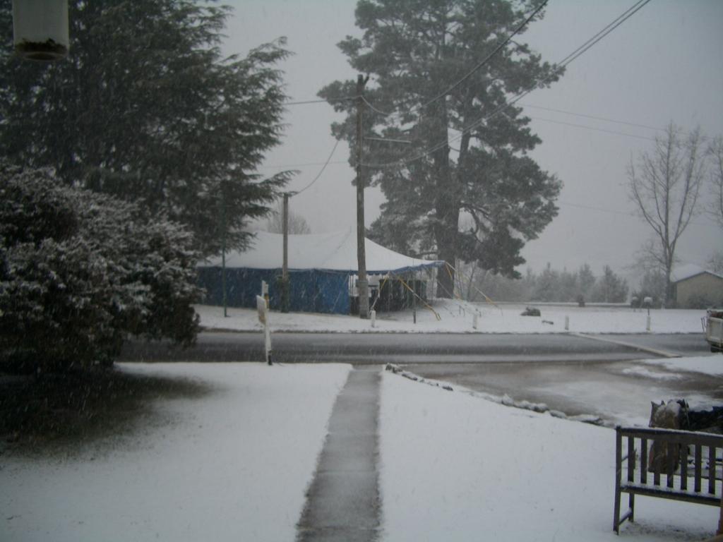 Rainbow Pines Tourist Caravan Park Adaminaby Dış mekan fotoğraf